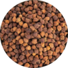 Bengal Gram (Chana)