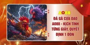 Đá Gà Cựa Dao AO88 - Kịch Tính Từng Giây, Quyết Định 1 Đòn 