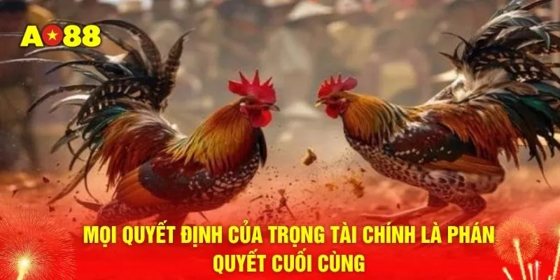 Mọi quyết định của trọng tài chính là phán quyết cuối cùng