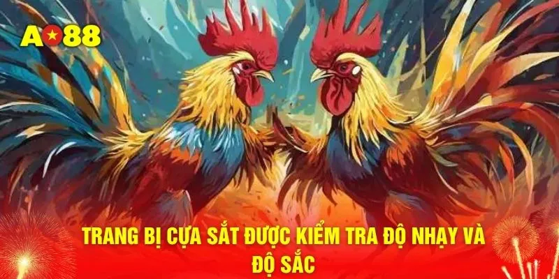Trang bị cựa sắt được kiểm tra độ nhạy và độ sắc